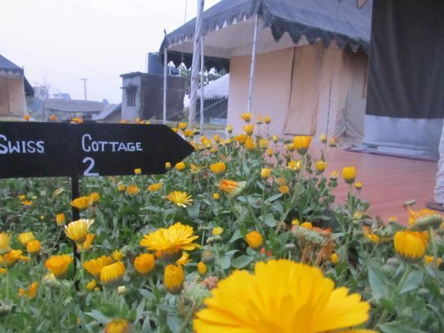 Derra Camp And Resort Jhajra Exterior photo