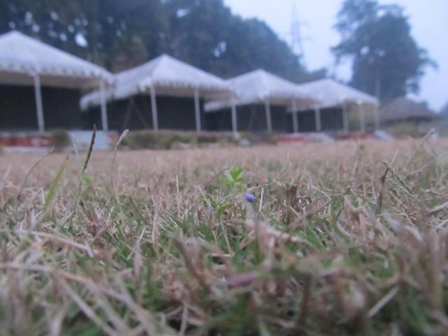 Derra Camp And Resort Jhajra Exterior photo